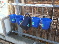 Eimer und Giesskanne